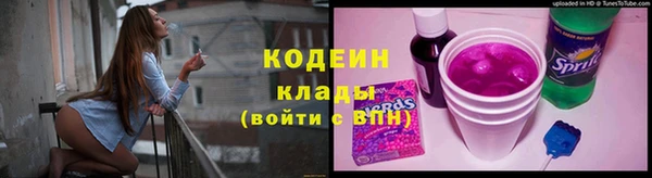 хмурый Семилуки